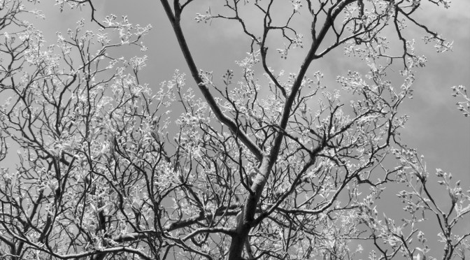 The Loneliness of the Insecure and Paranoid