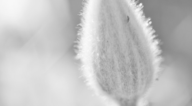 The World Keeps Turning